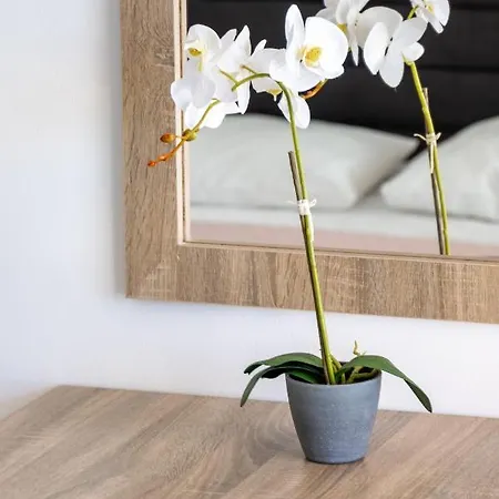 Апартаменты Antesia By Ezoria - Adults Only